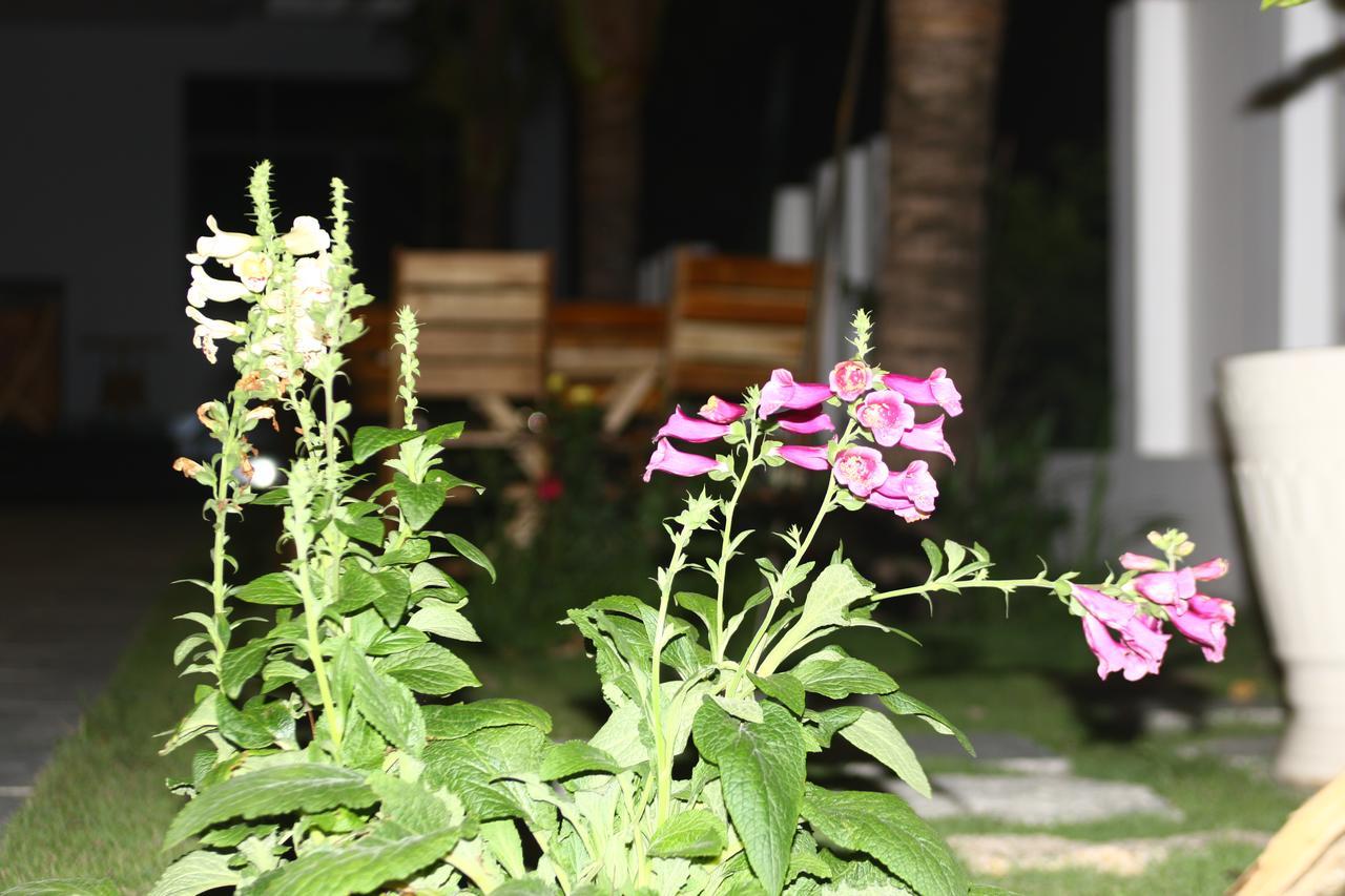Ocean View Hotel Nha Trang Exterior photo